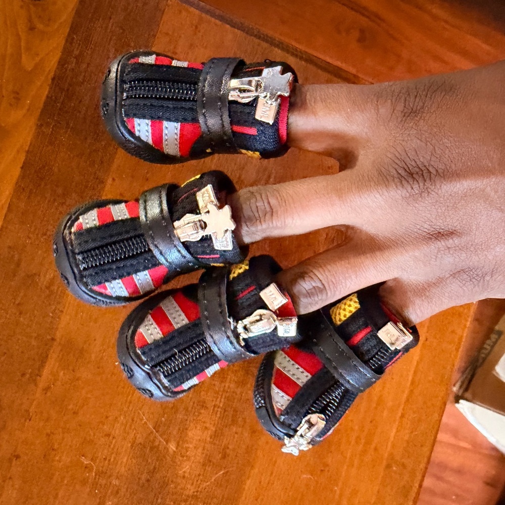 Stylish Red and Black Dog Boots - Picture 5 of 5